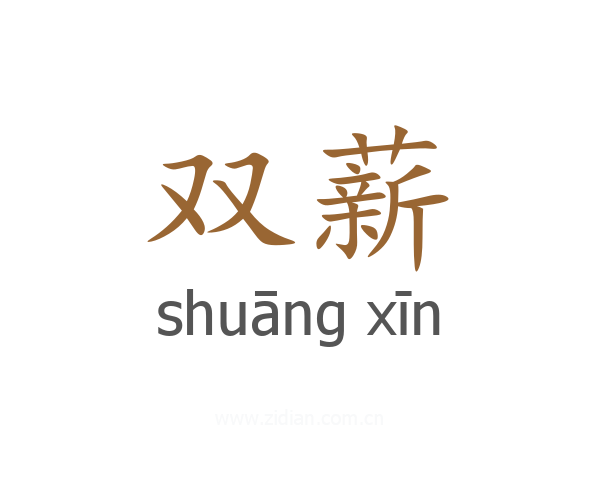 双薪