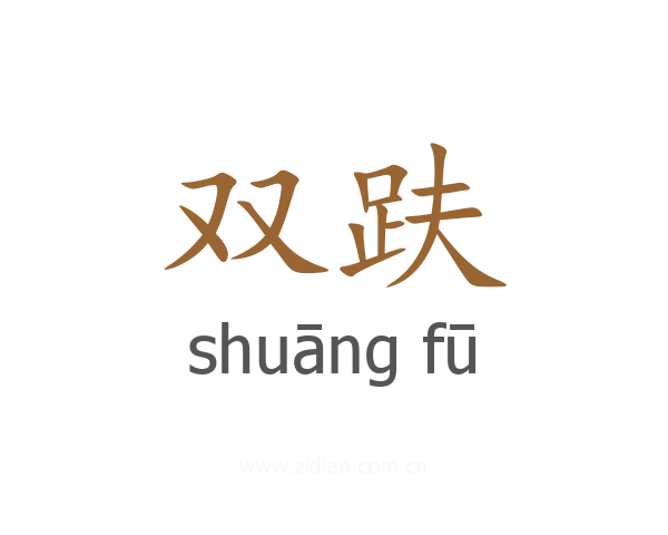 双趺