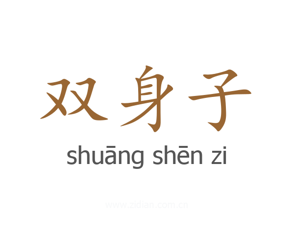 双身子