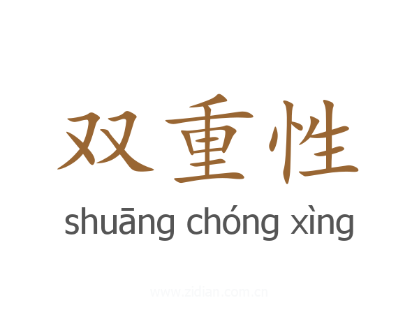 双重性