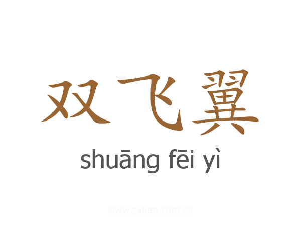 双飞翼