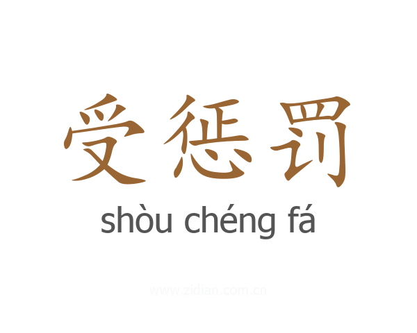 受惩罚