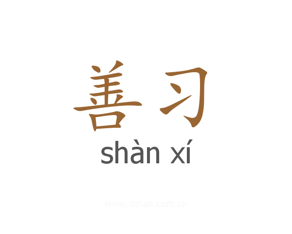 善习
