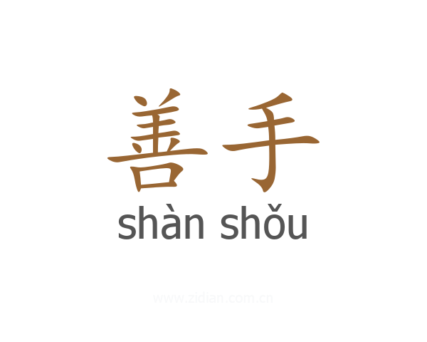 善手