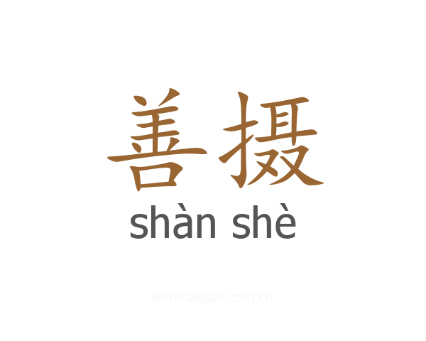善摄