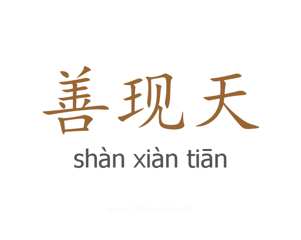 善现天