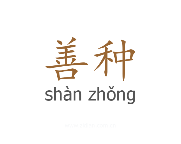 善种