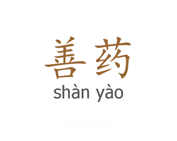 善药