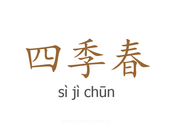 四季春