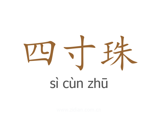 四寸珠