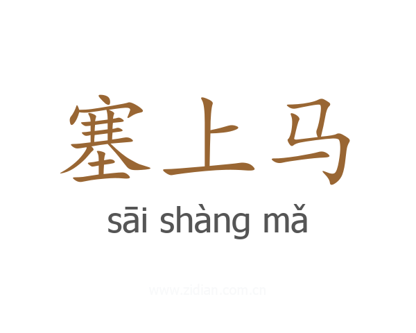 塞上马