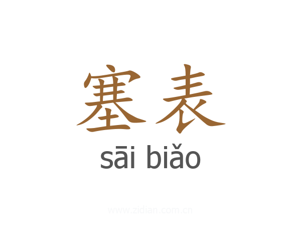 塞表