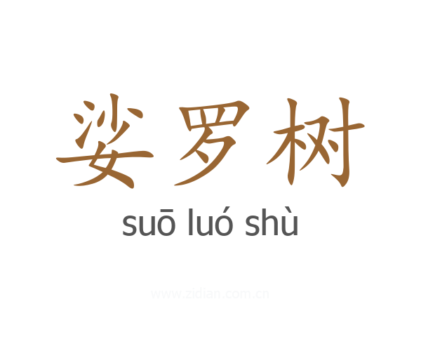 娑罗树
