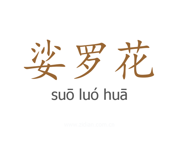 娑罗花