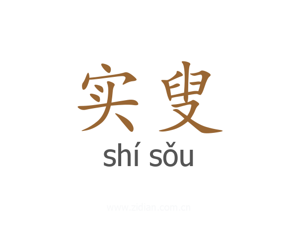 实叟