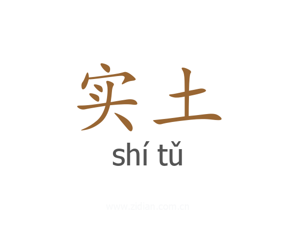 实土