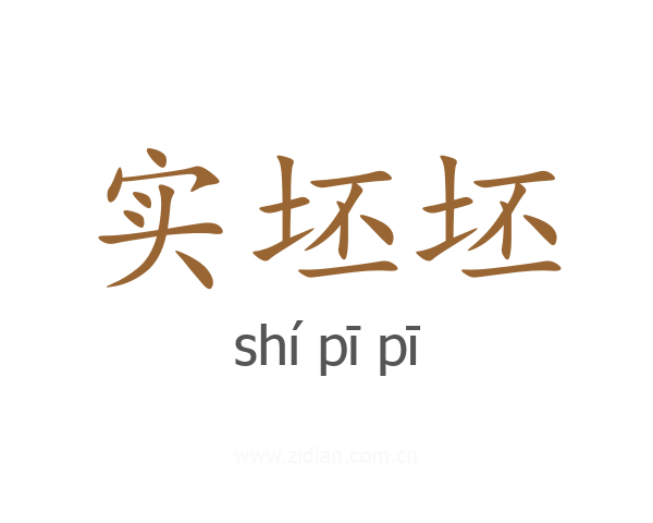实坯坯