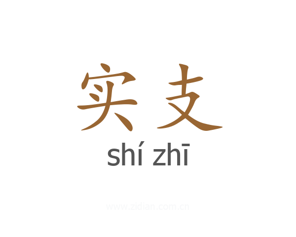实支