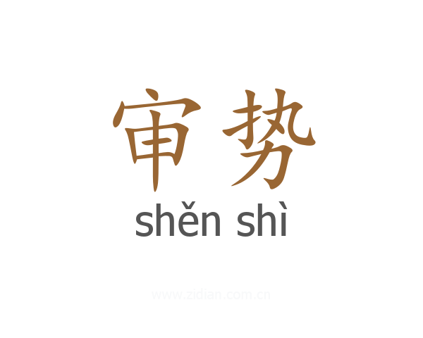 审势