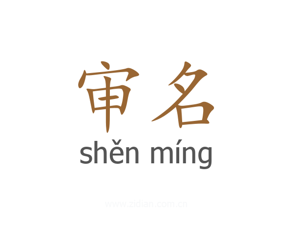 审名