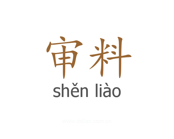 审料