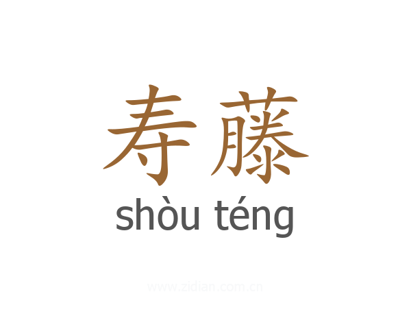 寿藤