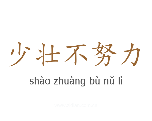 少壮不努力