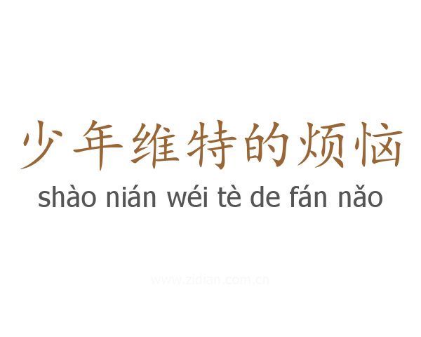 少年维特的烦恼