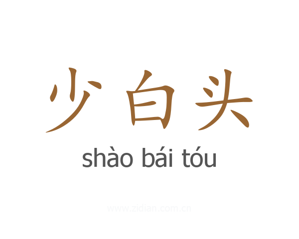 少白头