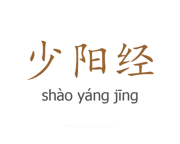 少阳经