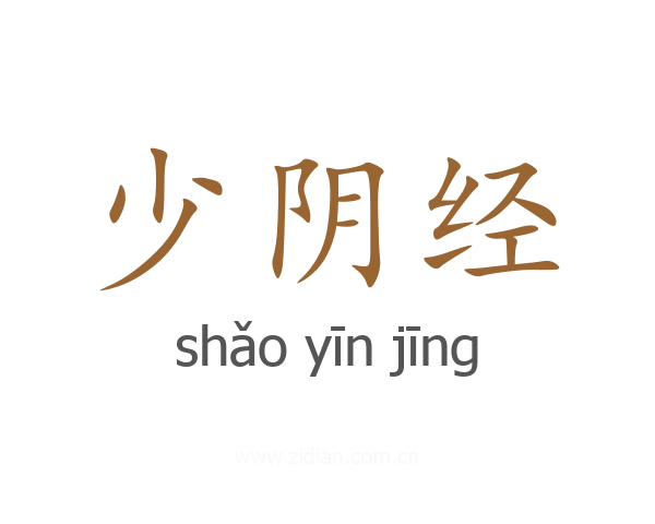 少阴经