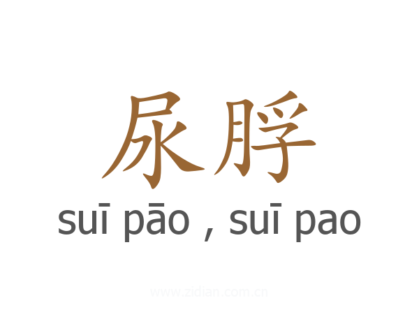 尿脬