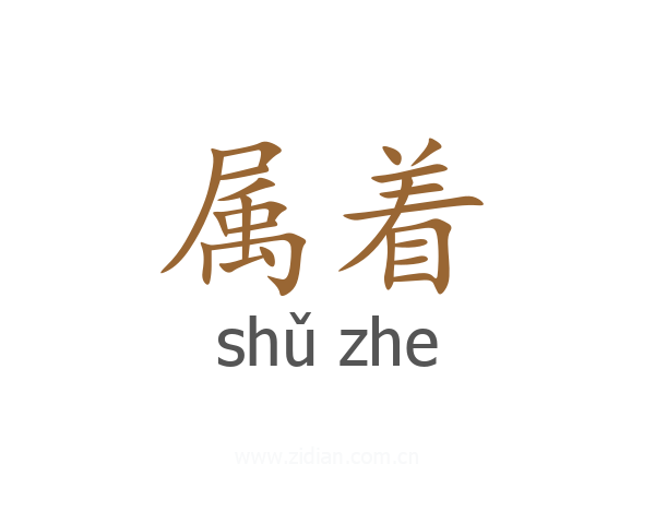 属着