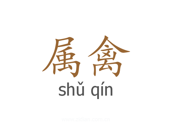 属禽