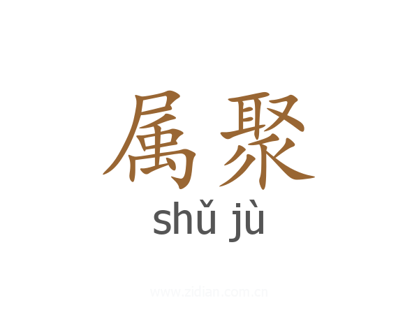 属聚