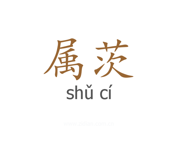 属茨