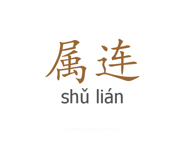 属连
