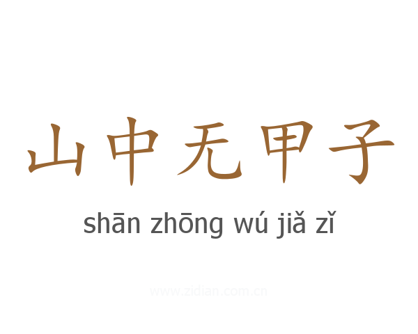 山中无甲子
