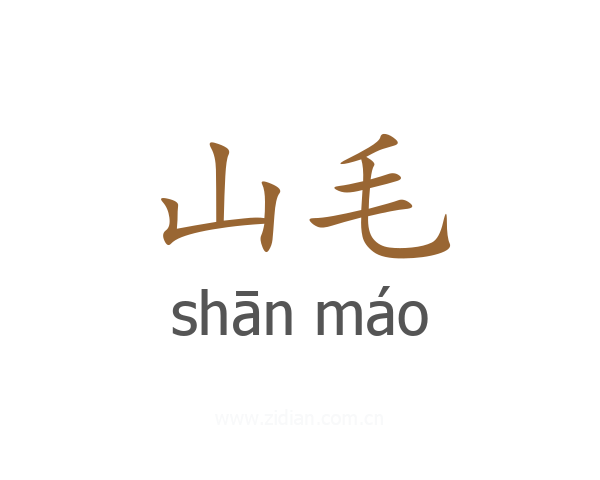 山毛