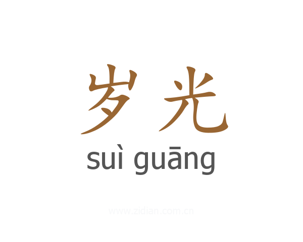 岁光