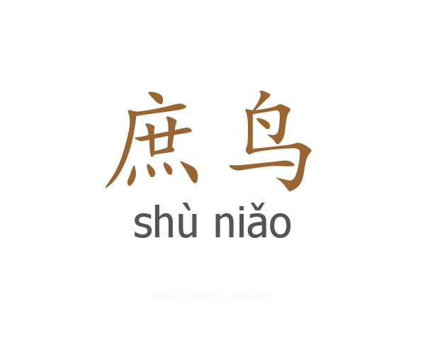 庶鸟