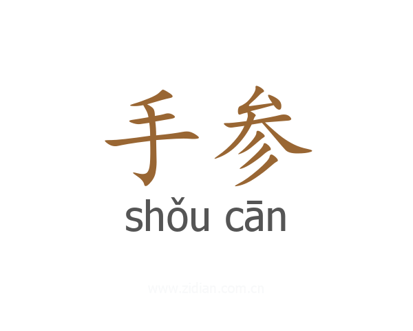 手参