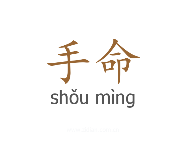 手命