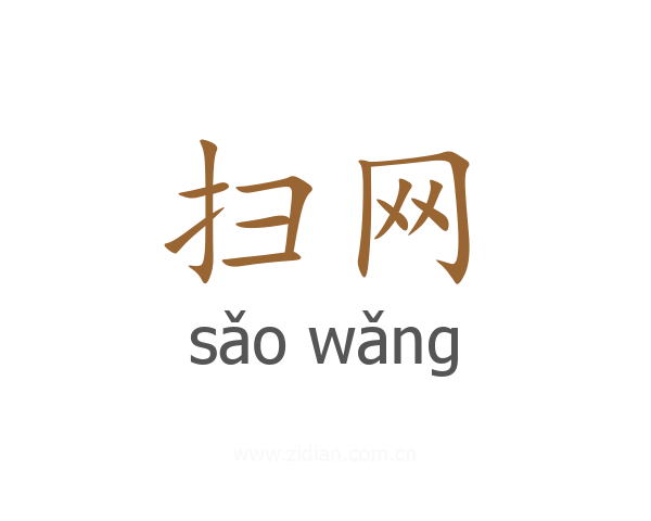 扫网