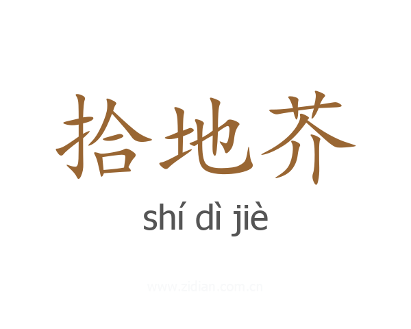 拾地芥
