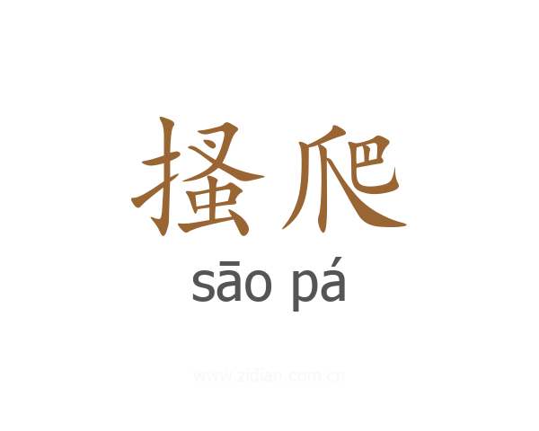 搔爬