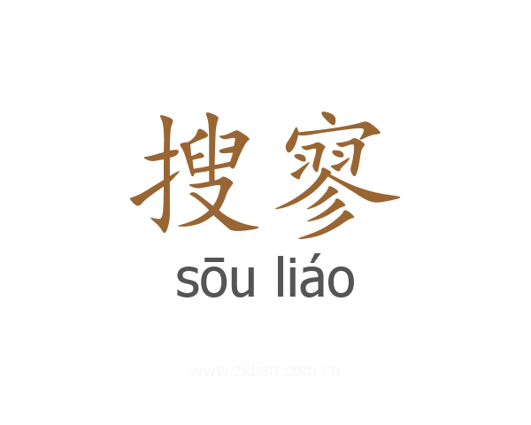 搜寥