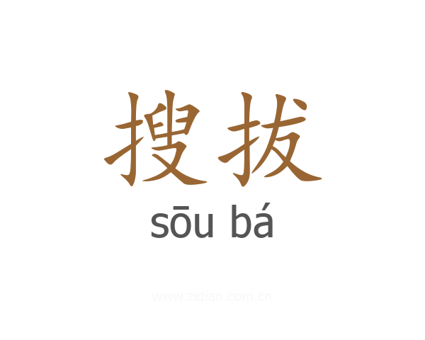 搜拔