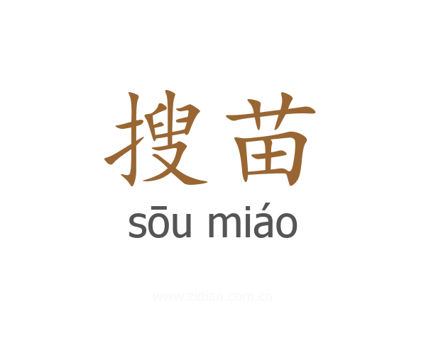 搜苗