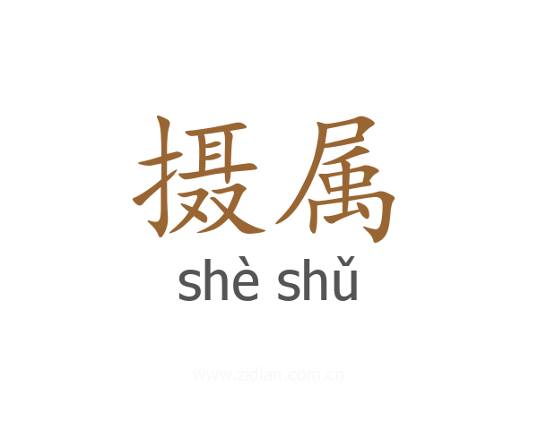 摄属